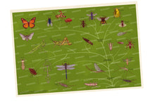 Cargar imagen en el visor de la galería, Insectarium | Emily Carter; Dave Goulson