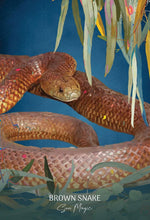 Cargar imagen en el visor de la galería, Wild Wisdom Australia | Karin Roberts