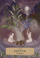 Cargar imagen en el visor de la galería, Astrología Herbal. Oráculo: 55 cartas y libro guía | Adriana Ayales