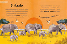 Cargar imagen en el visor de la galería, Mi primer Libro de Animales. Todo lo que quieres saber de tus Animales Preferidos