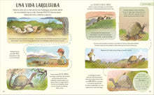 Cargar imagen en el visor de la galería, Paciencia: Descubre las Maravillas que nos rodean | Rachel Williams