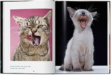 Cargar imagen en el visor de la galería, Cats: Photographs 1942-2018 | Walter Chandoha