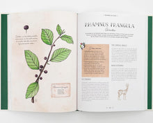 Cargar imagen en el visor de la galería, Herbario de las Brujas, 80 Plantas con Propiedades Mágicas | Pauline Capmas-Delarue; Michel Viard