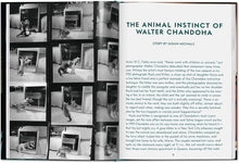 Cargar imagen en el visor de la galería, Cats: Photographs 1942-2018 | Walter Chandoha