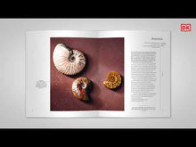 Cargar y reproducir el video en el visor de la galería, Cristales | Sadie Kadlec