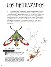 Cargar imagen en el visor de la galería, Museo Vivo de los Insectos
