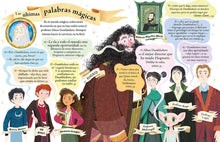 Cargar imagen en el visor de la galería, Profesor Dumbledore. Pocket Potters. 4 | J. K Rowling
