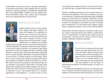 Cargar imagen en el visor de la galería, Tarot Medieval, 78 cartas y guía | Caitlín Matthews
