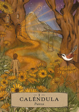 Cargar imagen en el visor de la galería, Astrología Herbal. Oráculo: 55 cartas y libro guía | Adriana Ayales
