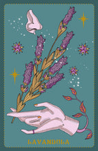 Cargar imagen en el visor de la galería, Herbarium Oracle Cards | Elisa Seitzinger
