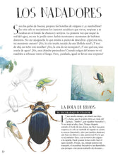 Cargar imagen en el visor de la galería, Museo Vivo de los Insectos
