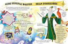 Cargar imagen en el visor de la galería, Profesor Dumbledore. Pocket Potters. 4 | J. K Rowling
