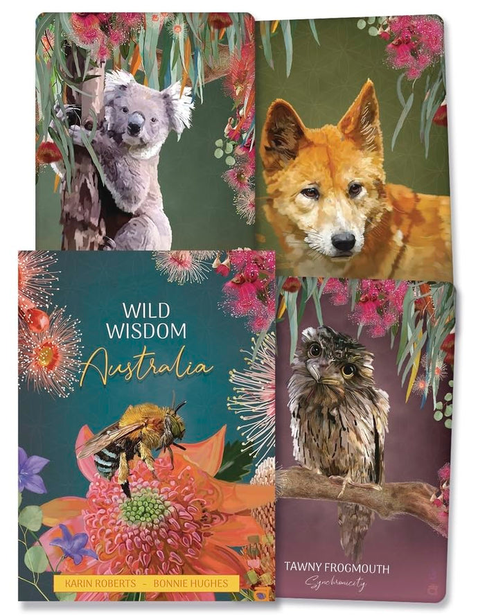 Wild Wisdom Australia | Karin Roberts
