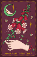 Cargar imagen en el visor de la galería, Herbarium Oracle Cards | Elisa Seitzinger
