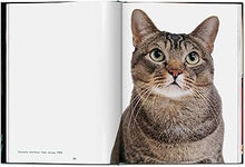 Cargar imagen en el visor de la galería, Cats: Photographs 1942-2018 | Walter Chandoha
