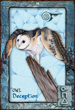 Cargar imagen en el visor de la galería, Animal Dreaming Oracle |  Scott Alexander King; Karen Branchflower
