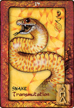 Cargar imagen en el visor de la galería, Animal Dreaming Oracle |  Scott Alexander King; Karen Branchflower
