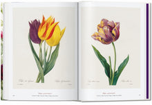 Cargar imagen en el visor de la galería, The Book of Flowers | Pierre-Joseph Redouté

