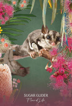 Cargar imagen en el visor de la galería, Wild Wisdom Australia | Karin Roberts
