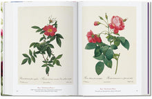 Cargar imagen en el visor de la galería, The Book of Flowers | Pierre-Joseph Redouté
