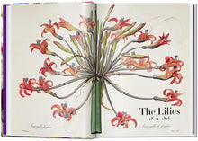 Cargar imagen en el visor de la galería, The Book of Flowers | Pierre-Joseph Redouté
