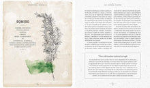 Cargar imagen en el visor de la galería, Herbología sensorial: Manual para conectar con el poder medicinal de las plantas de tu entorno… y con la tierra, los elementos y las estaciones |  Fiona Heckels; Karen Lawton
