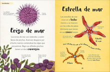 Cargar imagen en el visor de la galería, Mi primer Libro de Animales. Todo lo que quieres saber de tus Animales Preferidos

