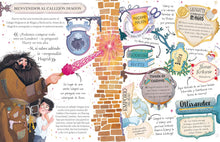 Cargar imagen en el visor de la galería, Harry Potter. Pocket Potters. 1  | J. K Rowling
