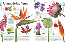 Cargar imagen en el visor de la galería, El Libro de las Flores y los Árboles (Y Otros Tesoros del Reino Vegetal)
