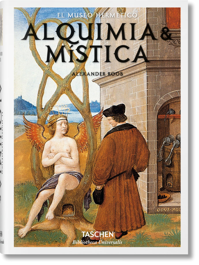 Alquimia y Mística: El Museo Hermético | Alexander Roob