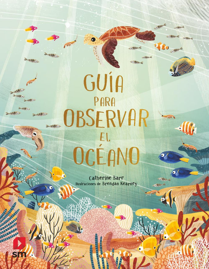 Guía para observar el océano | Catherine Barr