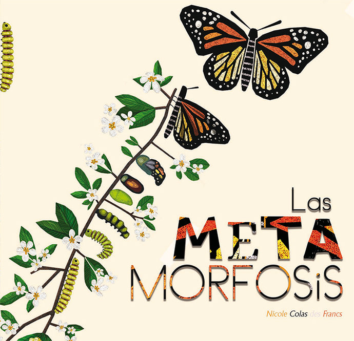 La metamorfosis | Nicole Colas Des Francs
